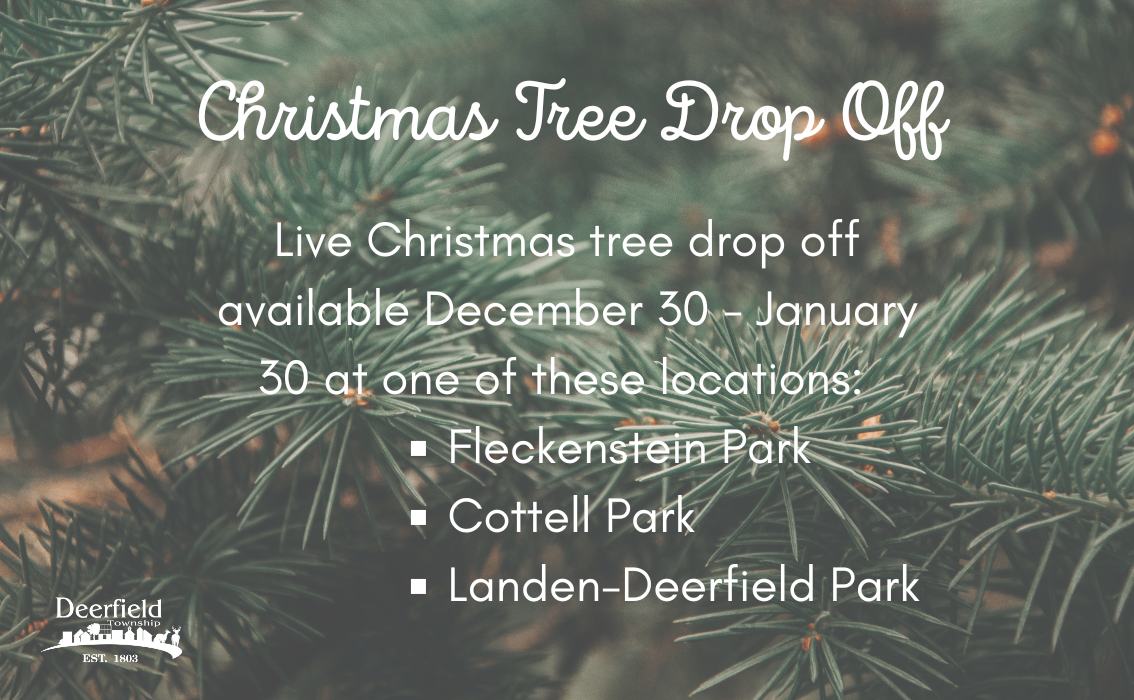 Christmas Tree Drop Off
